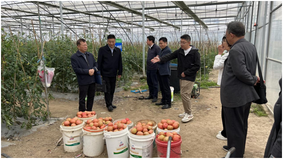 1682329704646509.png image.png