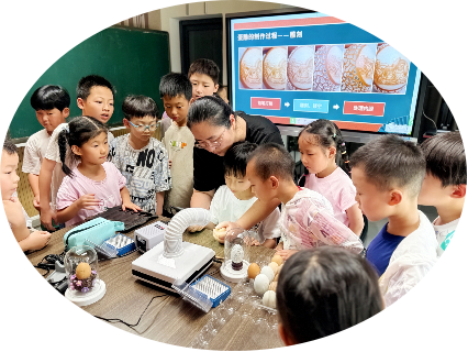 1757575424236029.png 关于报送2025年“七彩夏日”主题活动成果的函(1)731.png